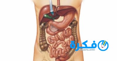 نشرة دواء جي ستار G-Star مكمل غذائي 3 201701050348584858