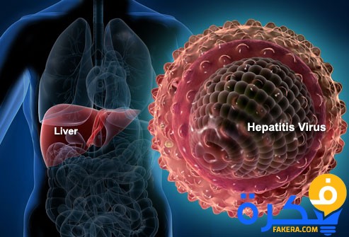 شرح خطوات تحليل فيروس سى والاجسام المضادة ؟
