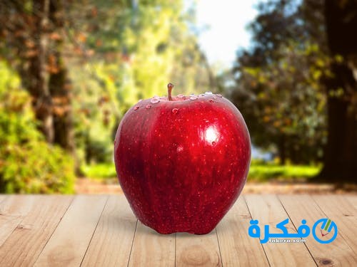 السعرات الحرارية في التفاح 3 pexels photo 588587