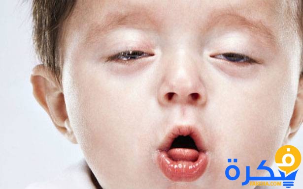 al so3al aldeke 904270 large