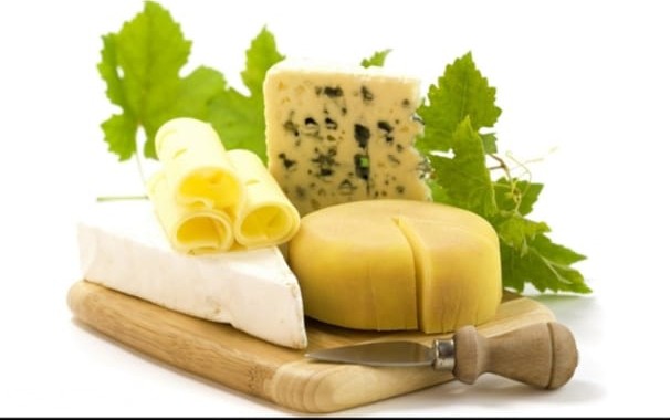 IMG ٢٠٢٠٠٢٢٤ ١٥٤٩٥٩