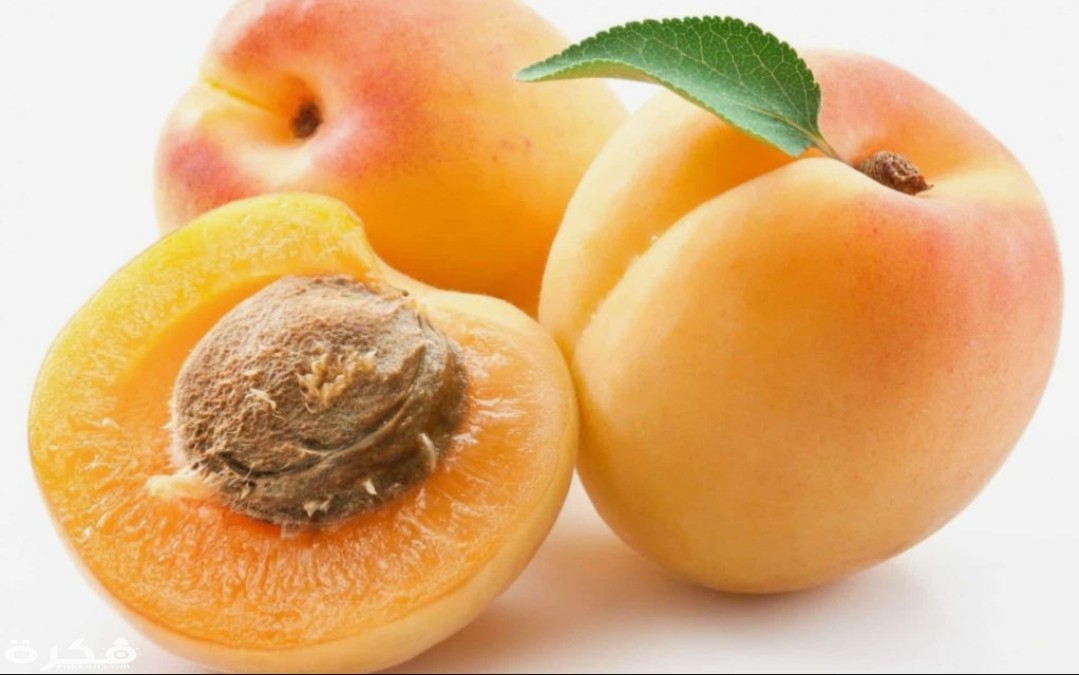 inbound2746444693192498817