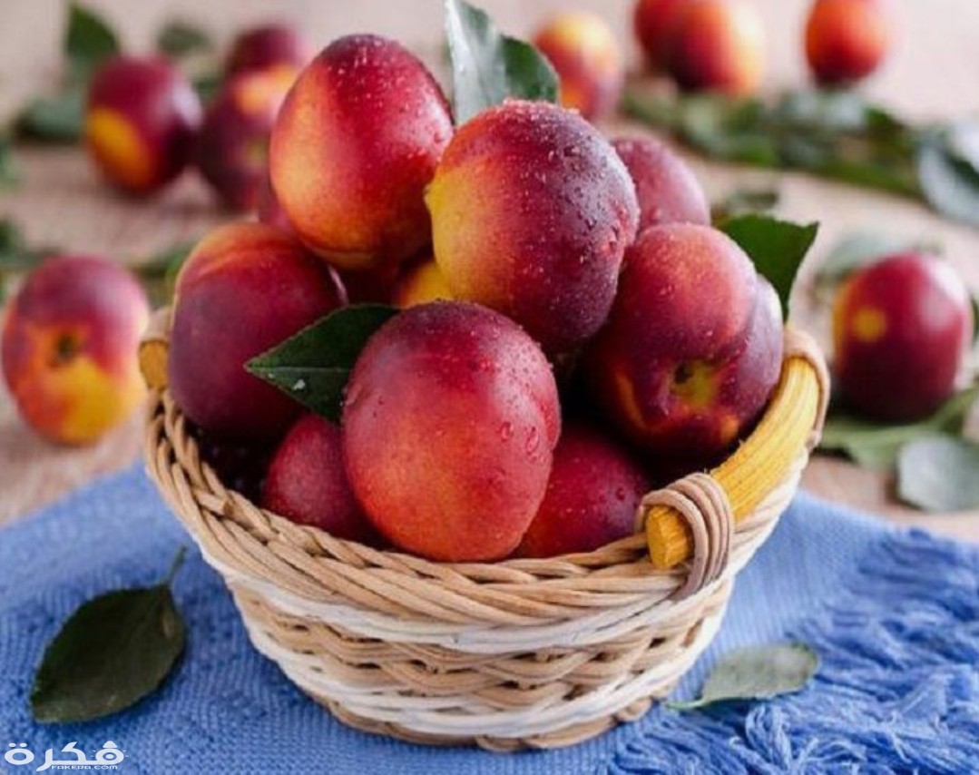 IMG ٢٠٢٠٠٣٠١ ١٢٣٣٥٠