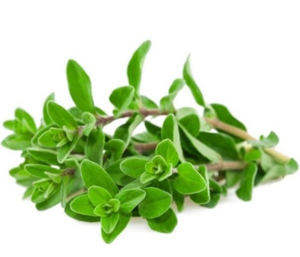 IMG ٢٠٢٠٠٣١١ ١١٢٤٢٦