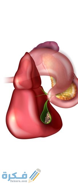 IMG 20200527 WA0027 rotated