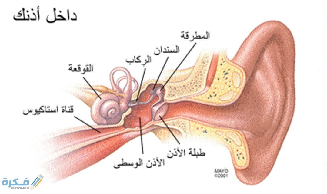 IMG ٢٠٢٠٠٦٠٢ ١٥٣٧٣٧