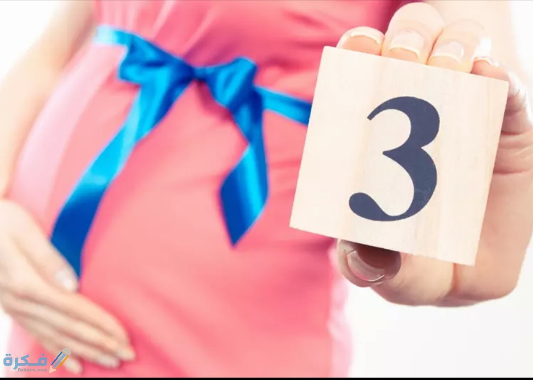 IMG ٢٠٢٠٠٨٠٢ ١٢٢٧٥٥