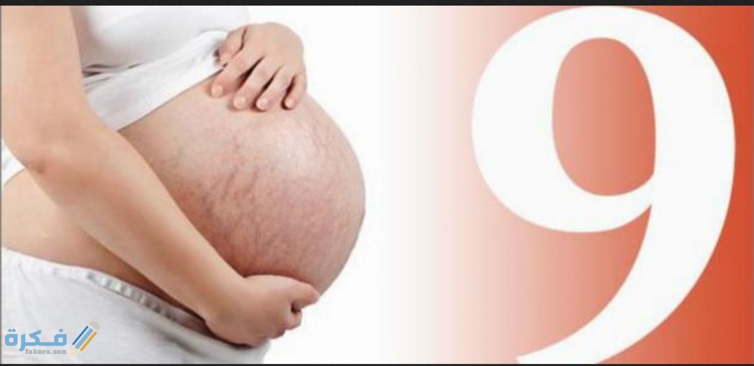 IMG ٢٠٢٠٠٨٠٢ ١٢٥٠٠١