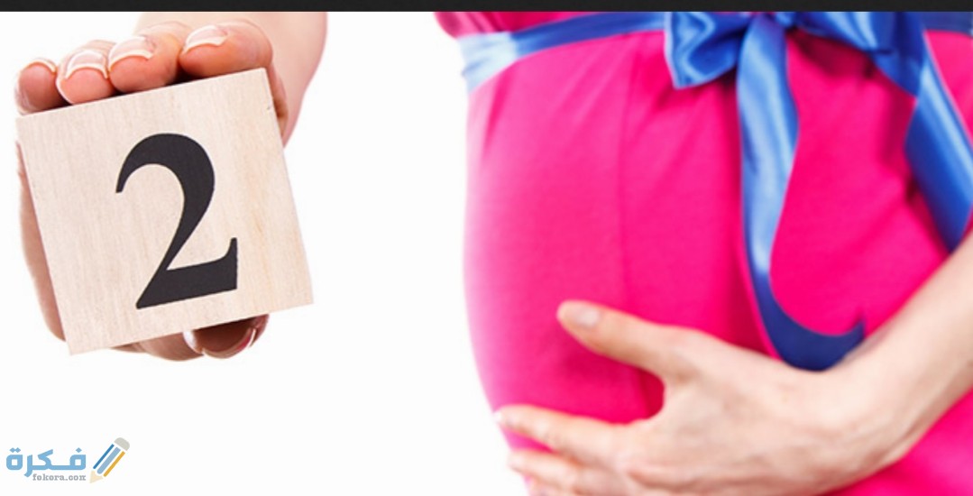 IMG ٢٠٢٠٠٨٠٢ ١٣١٠١٧