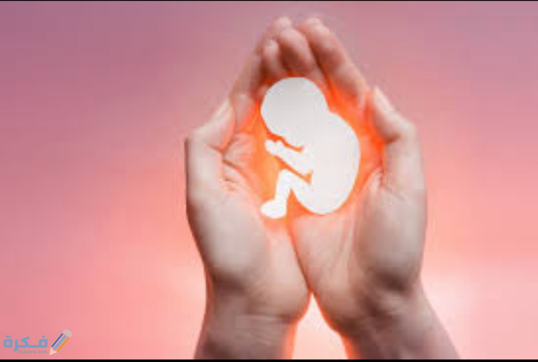 IMG ٢٠٢٠٠٨٠٢ ١٣٣٧٥٠