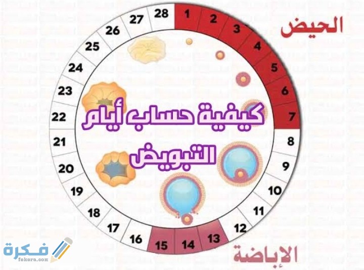 IMG ٢٠٢٠٠٨٠٧ ١٨٣٣١٤