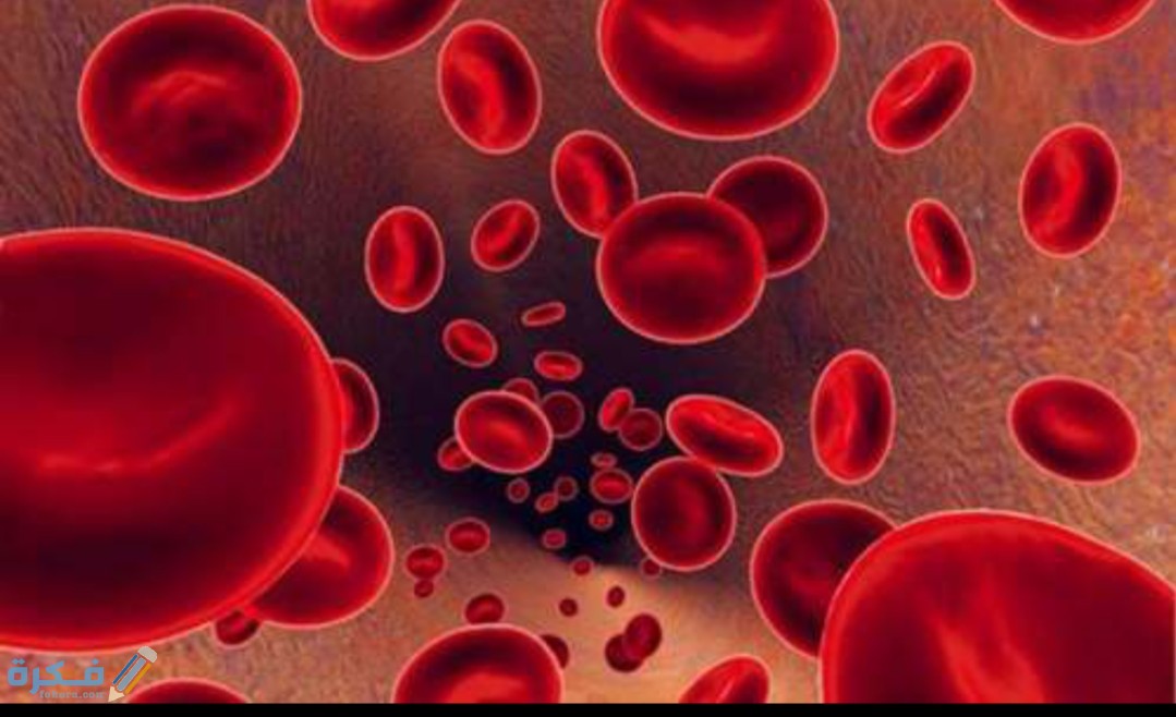 IMG ٢٠٢٠٠٨١١ ١٣١٠٤٤