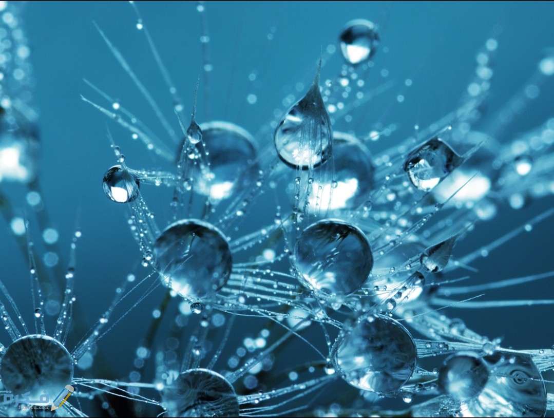 IMG ٢٠٢٠٠٨٢٢ ١٣٠٢٣٤