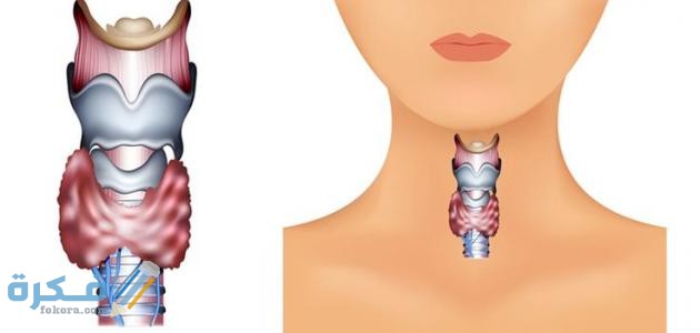 أفضل دواء تنشيط الغدة الدرقية للتخسيس