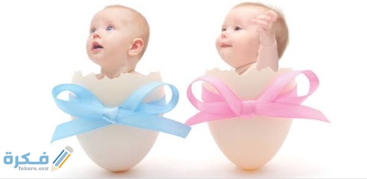 IMG ٢٠٢٠٠٩٢١ ٠٠٠٥٠٨