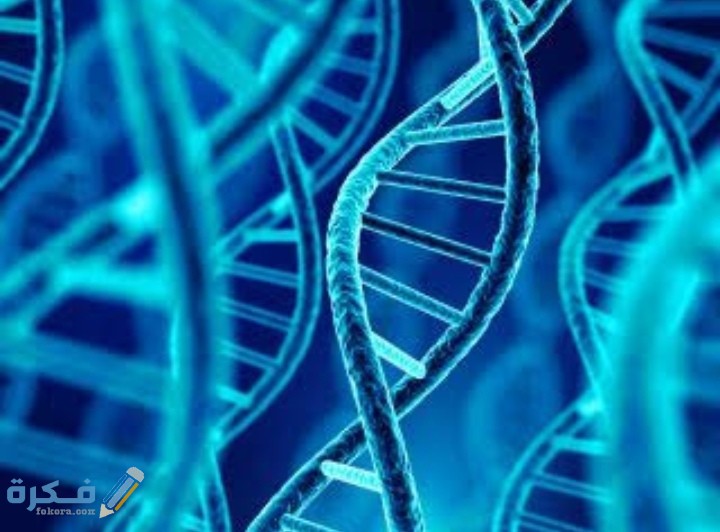 شروط عمل تحليل dna