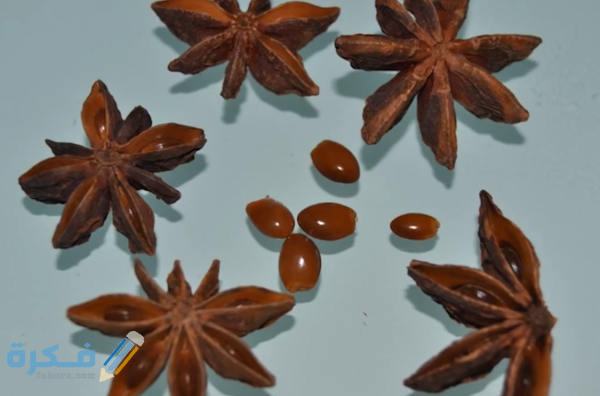 Capture 19 600x400 c