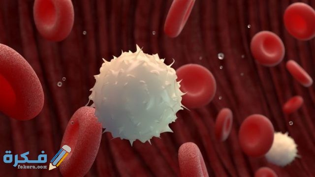 ما هي كريات الدم البيضاء ما هي كريات الدم البيضاء