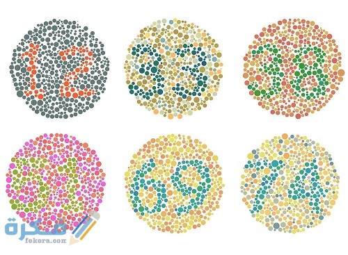 1570618465 716 104654