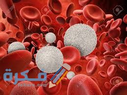 النسب الطبيعية لكريات الدم البيضاء في الجسم النسب الطبيعية لكريات الدم البيضاء في الجسم