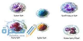 مكونات خلايا الدم البيضاء مكونات خلايا الدم البيضاء