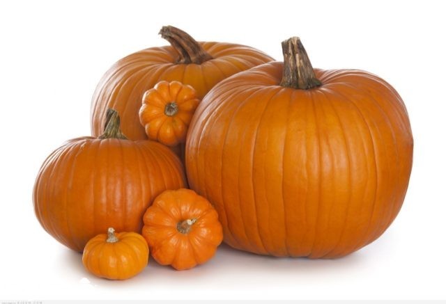 السعرات الحرارية في قرع العسل IMG ٢٠٢٠٠٢٢٥ ٢١٢٦٣٢