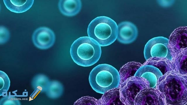 ماهى التحاليل التي تكشف مرض السرطان ماهى التحاليل التي تكشف مرض السرطان