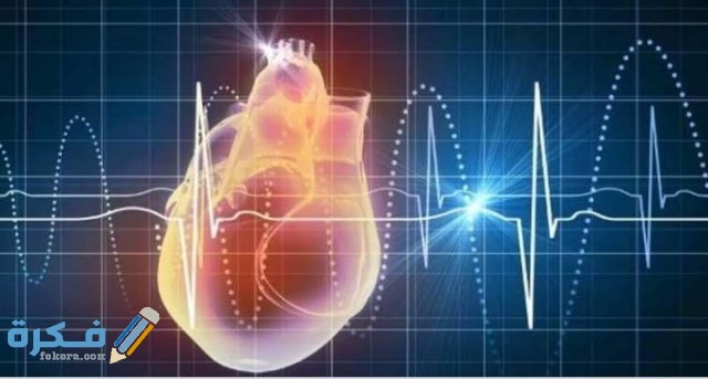 عدد نبضات القلب السليم وآلية قياسها عدد نبضات القلب السليم وآلية قياسها