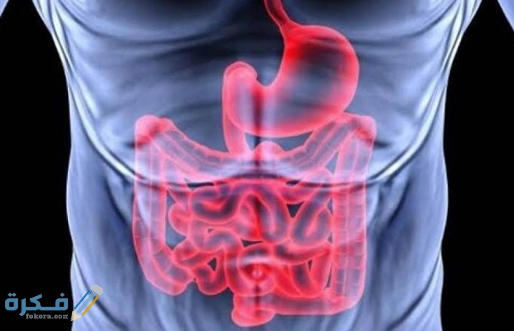 IMG ٢٠٢١٠٢٠٥ ٠١٤٩١٩