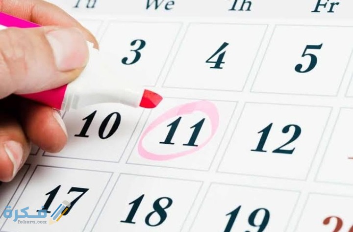 IMG ٢٠٢١٠٢٠٦ ٠١٠٦٣٢