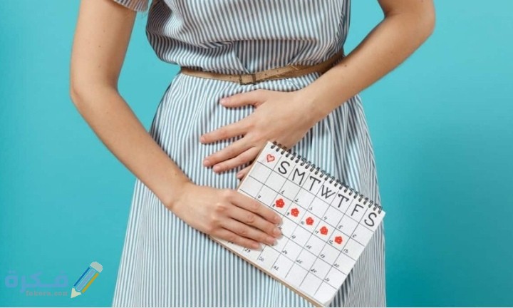 IMG ٢٠٢١٠٢٠٦ ٠١٠٦٥٠