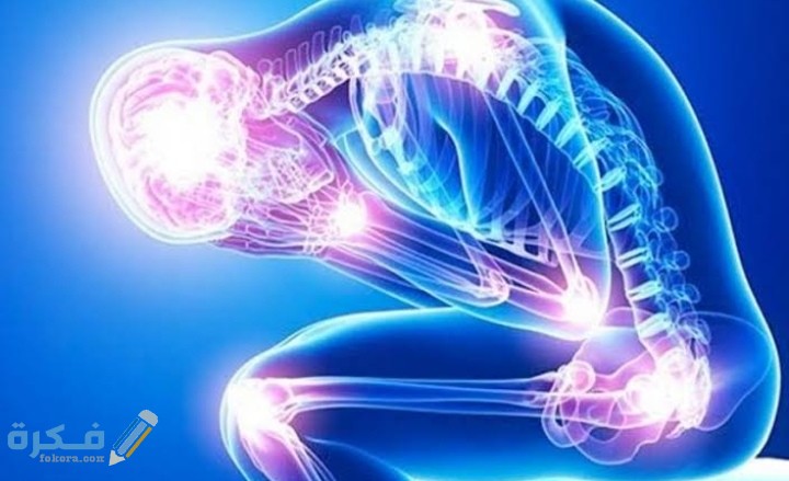 IMG ٢٠٢١٠٢٠٧ ٢٣٤٢١٦