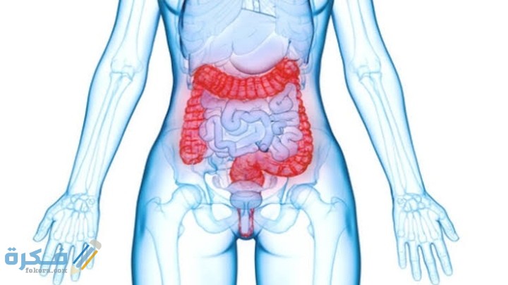 IMG ٢٠٢١٠٢٠٧ ٢٣٤٥٢٨