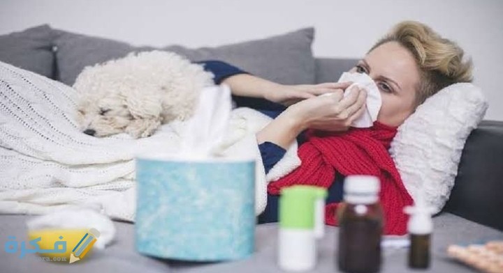 IMG ٢٠٢١٠٢٠٩ ٠٠٤٦٥٢