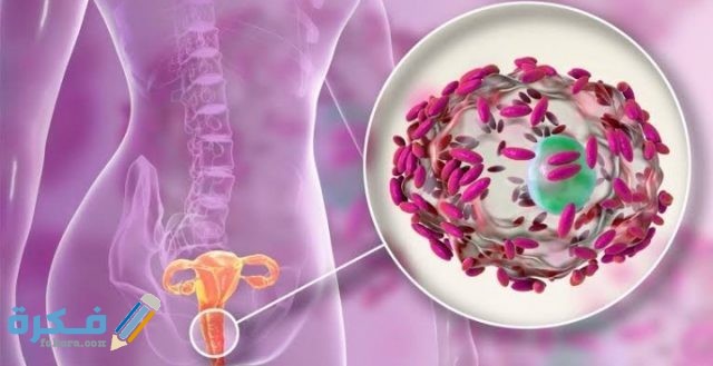 تأخر الدورة ونزول إفرازات بيضاء عند المتزوجة وأسبابها اسباب تاخر الدورة ونزول افرازات بيضاء عند المتزوجة