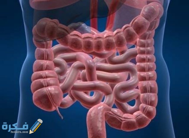 هَلْ القولون يسبب كتمه بالصدر؟ هَلْ القولون يسبب كتمه بالصدر؟