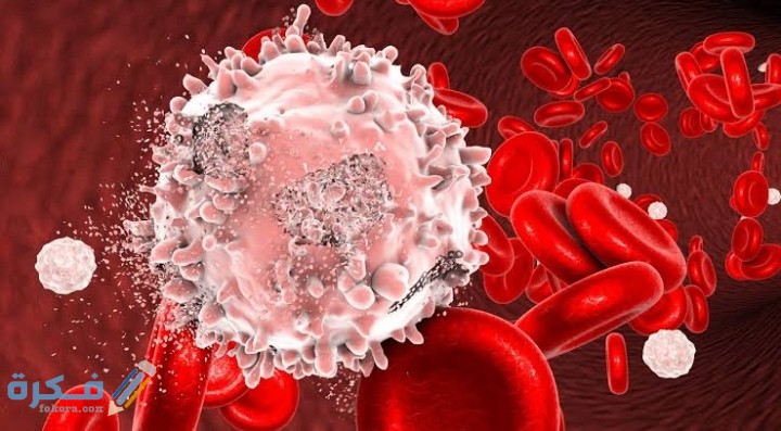 IMG ٢٠٢١٠٢١٠ ٢٣٥١٢٥