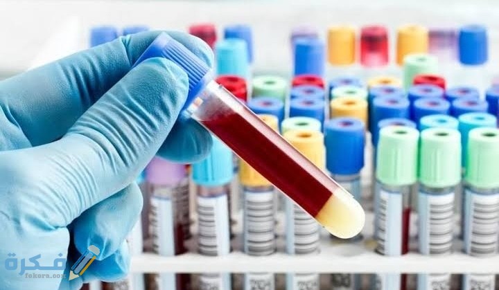 IMG ٢٠٢١٠٢١٠ ٢٣٥٤١٤