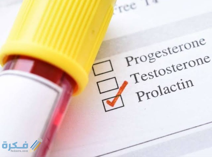 IMG ٢٠٢١٠٢١٠ ٢٣٥٤٥٦