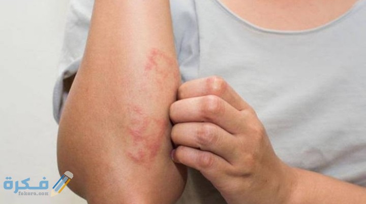 IMG ٢٠٢١٠٢١٢ ١٨١١٤٩