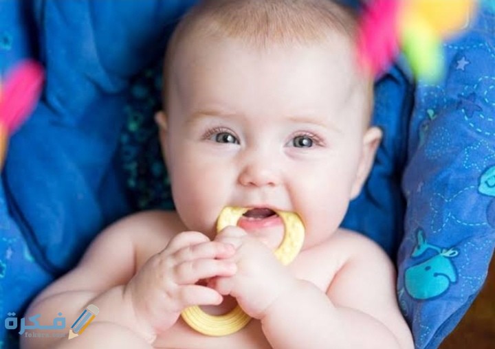 IMG ٢٠٢١٠٢١٣ ١٤٤٣٠١