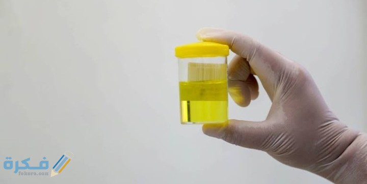 IMG ٢٠٢١٠٢١٥ ٠١٢٣٠٦