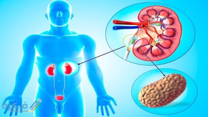 IMG ٢٠٢١٠٢١٦ ٠٢١٨١٩