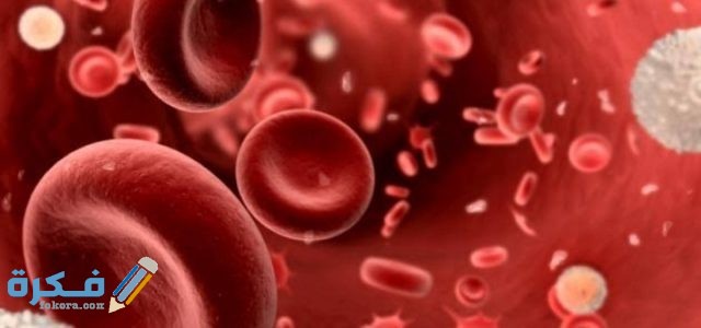 نسبة الهيموجلوبين في الدم 9 ماذا تشير تلك النسبة نسبة الهيموجلوبين في الدم 9 ماذا تشير تلك النسبة