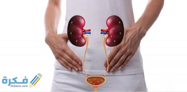 هَلْ أملاح الكلى تسبب فشل كلوي؟ هَلْ أملاح الكلى تسبب فشل كلوي؟