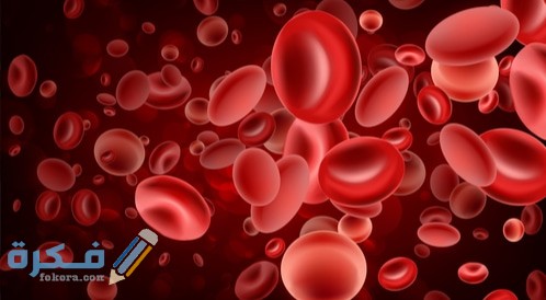 tbl articles article 18810 29200a5a9ad 544e 4c6b 899e dae36b6dac0e