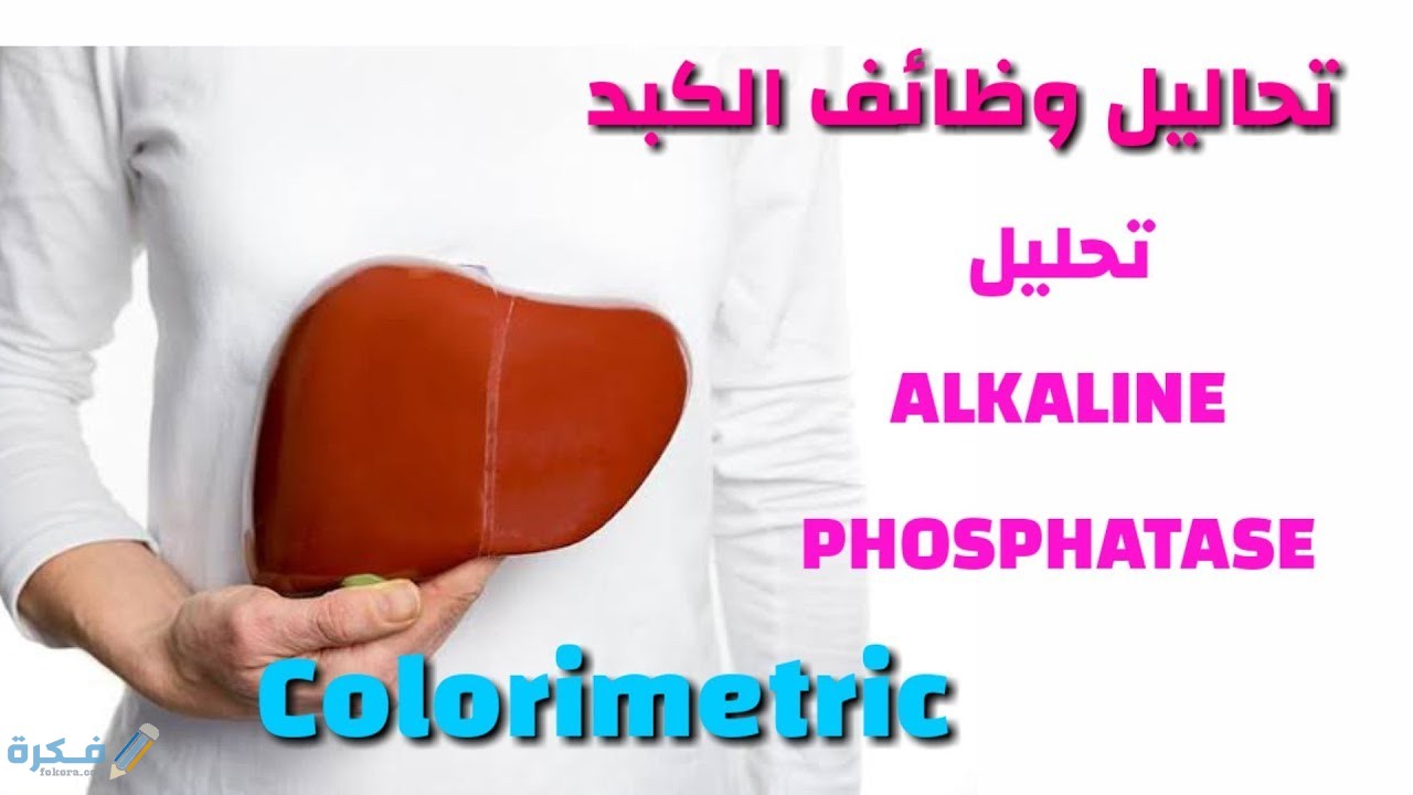 ما هو تحليل alkaline phosphatase