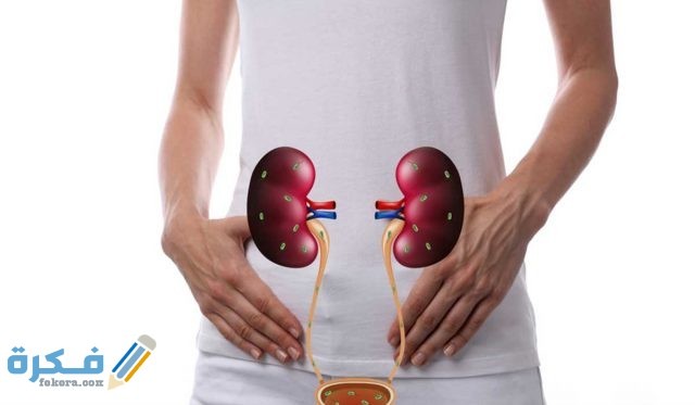 اسباب التهابات المسالك البولية اسباب التهابات المسالك البولية