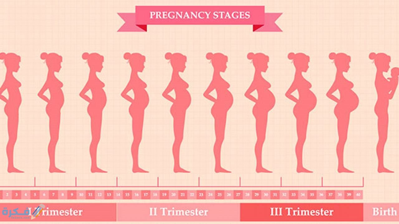 اعراض الحمل في الاسبوع الثاني عشر