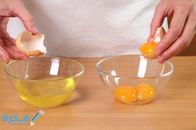 فوائد ماسك البيض للوجه فوائد ماسك البيض للوجه